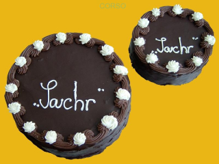 dort Sachr  1120g